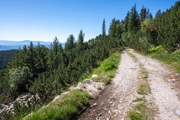 Fototapeta premium Landscape of Rila mountain near Granchar Lake, Bulgaria