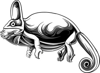 Line Art Chameleon Vector Illustration