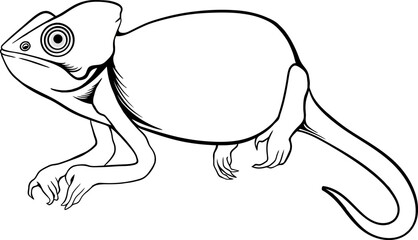 Line Art Chameleon Vector Illustration