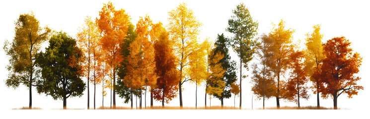 Orange, green, red and yellow autumn fall season forest woods nature trees isolated on transparent background. Beautiful seasonal foliage branch leaves, October September environment