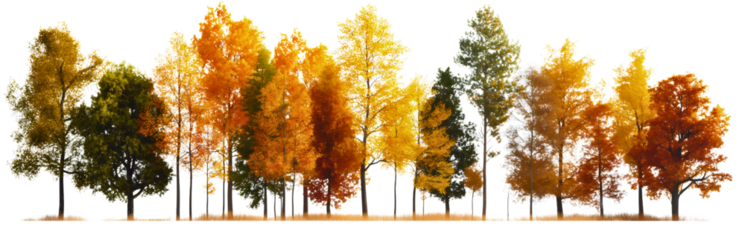 Orange, green, red and yellow autumn fall season forest woods nature trees isolated on transparent background. Beautiful seasonal foliage branch leaves, October September environment