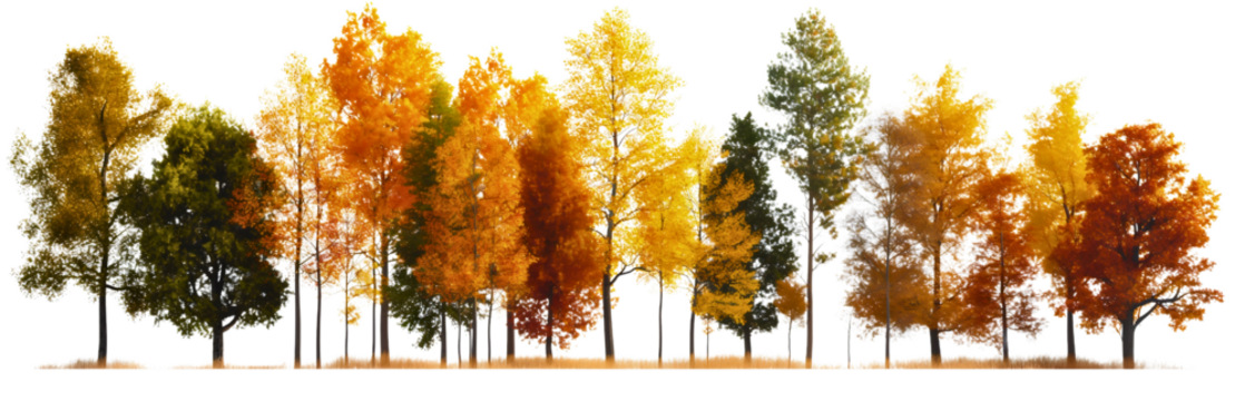 Orange, green, red and yellow autumn fall season forest woods nature trees isolated on transparent background. Beautiful seasonal foliage branch leaves, October September environment