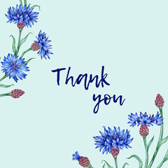 Frame of cornflowers flowers on blue background with text thank you watercolor illustration. Botanical composition element isolated from background. Suitable for cosmetics, 