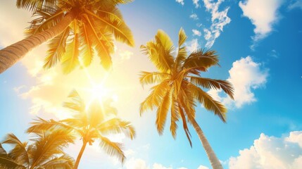 This image captures tall palm trees with bright sunlight streaming through their leaves, set against a vibrant blue sky filled with scattered clouds.