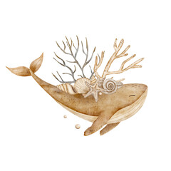 Whale beige corals, sea shells. Watercolor composition, monochrome illustration hand drawn in retro style on transparent background for design of invitations, cards, printing on clothes, bags, dishes
