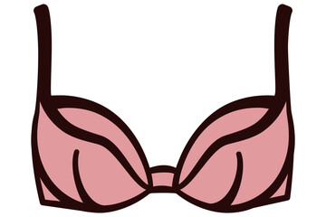 Womens bra underwear with details in vector