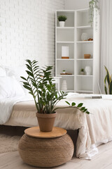 Interior of light bedroom with houseplant and laptop on white bed