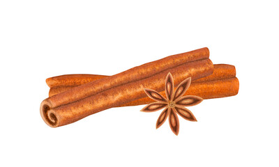 Cinnamon sticks and star anise isolated on transparent background. Ingredients and seasonings for drinks and baking. Hand painted watercolor illustration. for design, cards, packaging, labels, menus