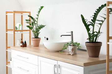 Houseplants, sink and statuettes on chest of drawers in modern bathroom