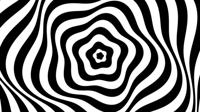 rounded pentagonal star or sakura like shape monochrome BW psychedelic rotation optical illusion. Abstract hypnotic animated background. Spiral geometric looping monochrome wallpaper. dynamic mathemat