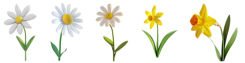 Springtime Blossoms - Various daisy and daffodil flowers with bright petals and green leaves, symbolizing the renewal of spring isolated on transparent background.