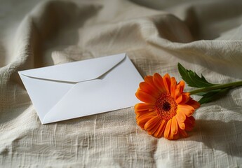 White Envelope and Pink Rose on Beige Background