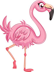 Flamingo isolated on transparent background. PNG