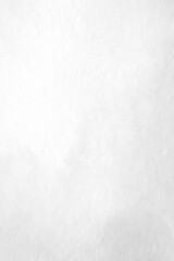 Blank white craft paper texture background, vertical