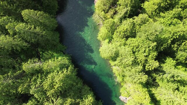 Enchanting waters of Evans Creek, weave through the heart of Golden Ears Provincial Park.