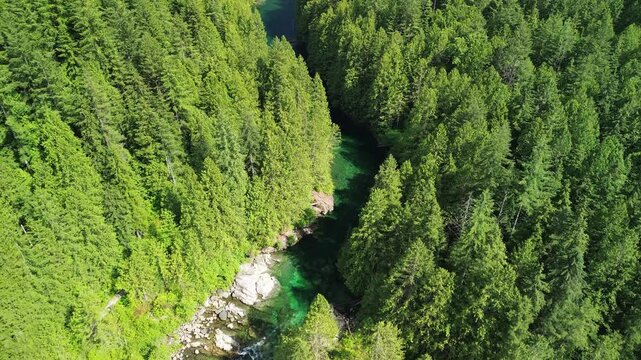 Captivating waters of Evans Creek as it winds through the heart of Golden Ears Provincial Park.