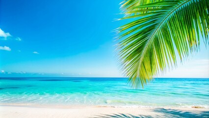 Fototapeta premium palm at the blurred empty sand beach in summertime, banner concept for beach vacation, idyllic resort with beautiful sea view, advertising space