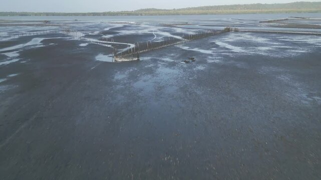 Aerial view of trails in tidal channels and mudflats at low tide in Pangpang bay Banyuwangi, Indonesia