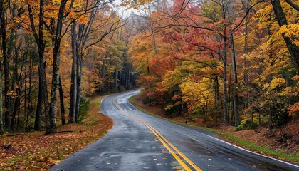 Obraz premium Autumn road trip with scenic views and colorful trees, Fall adventure, Natures journey
