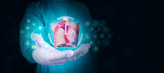 The pulmonologist analyzes the isolated lungs and alveoli on a technological background. Concept of...
