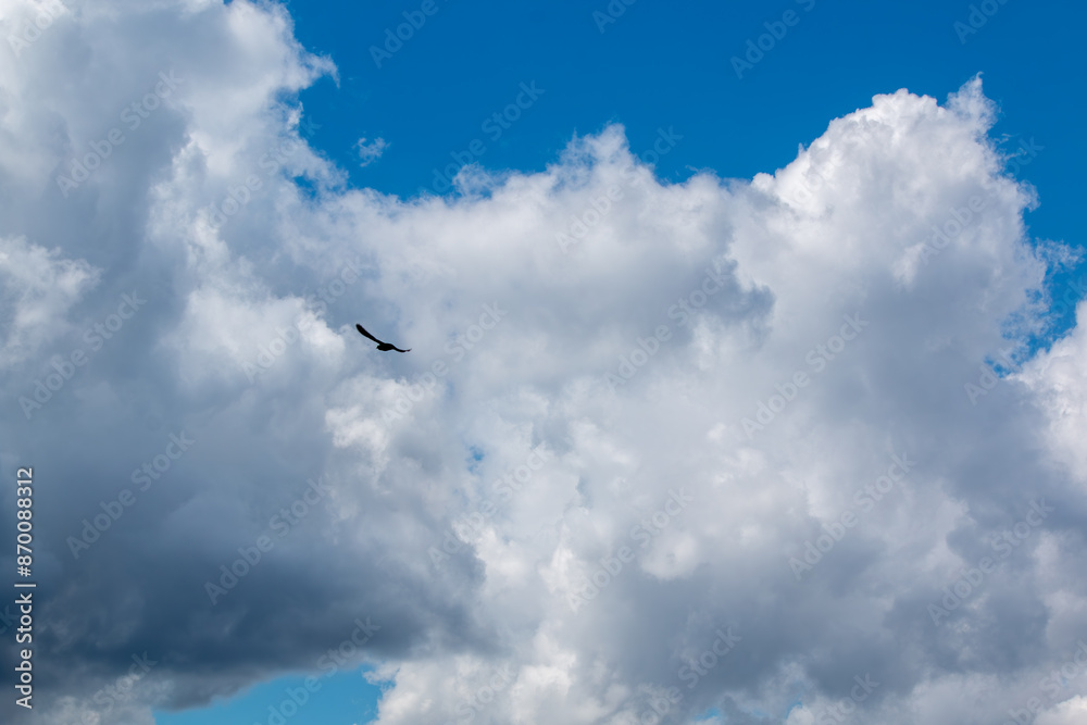 Wall mural clouds in the blue sky