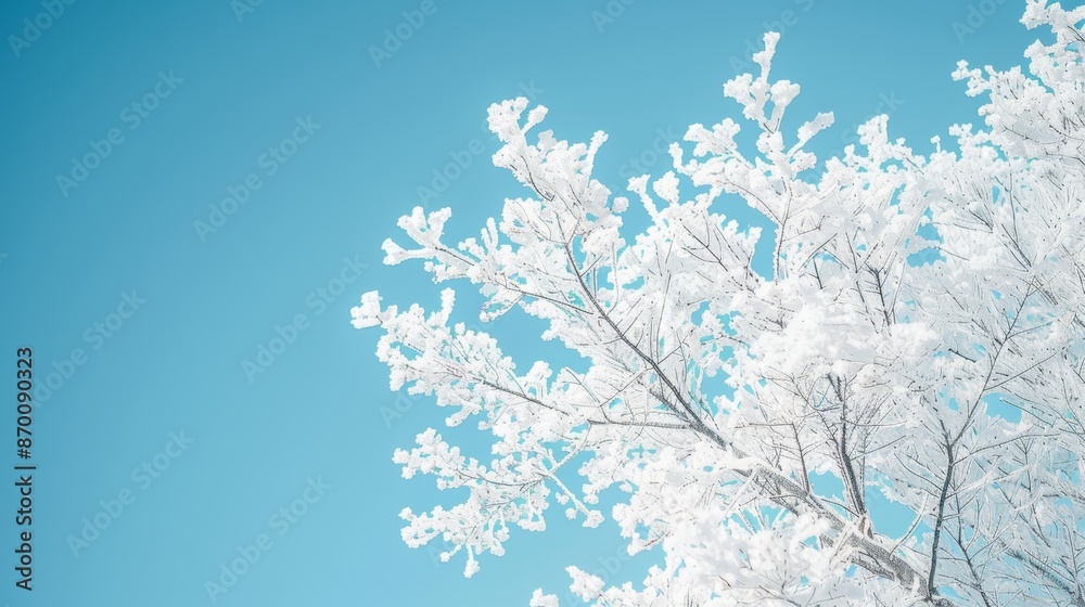 Wall mural winter background with clear sky and clean blue