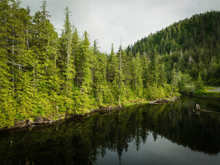 A glassy still pond with reflections in a dense British Columbia forest.  Prince Rupert BC, Canada.