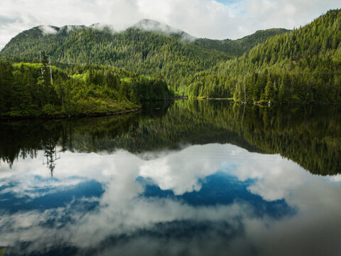 A glassy still pond with reflections in a dense British Columbia forest.  Prince Rupert BC, Canada.