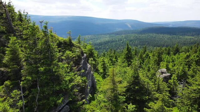 Towering rock formations stand amidst a lush green forest under a clear sky in Saxon Switzerland Mountains range in Germany.