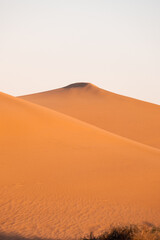 Sand and dunes in the Desert