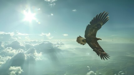 Obraz premium Eagle soaring in the sky