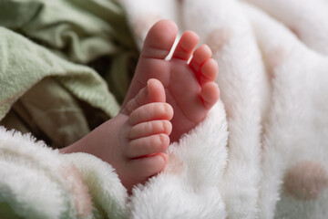 Little newborn baby human feet with toes and toenails close up