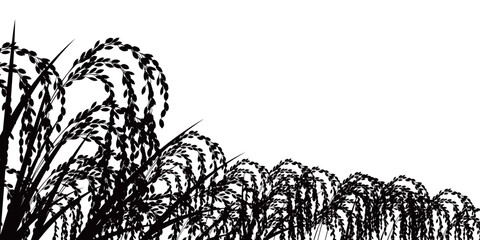 稲作　農業　田舎　背景