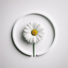 Sustainable Energy and Bellis perennis on White Background
