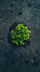 World Mangrove Day Concept with copy space