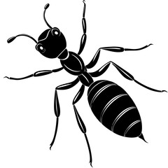 a cute ant vector silhouette illustration
