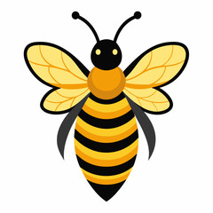 a cute bee vector artwork and illustration