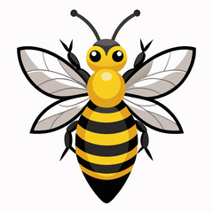 a cute bee vector artwork and illustration