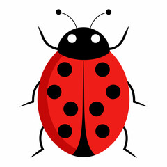  a cute ladybug vector illustration and svg