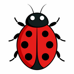 Fototapeta premium a cute ladybug vector illustration and svg