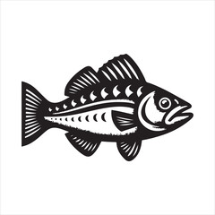 Cod Fish Vector