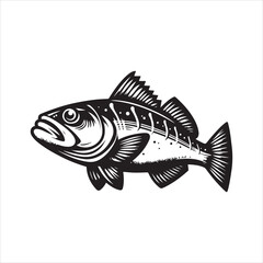Cod Fish Vector