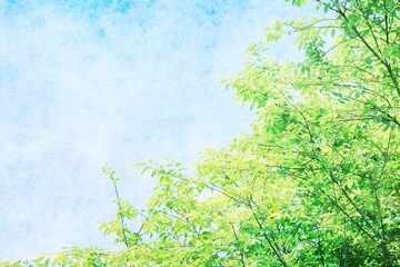 空と緑の爽やかな水彩画風背景素材