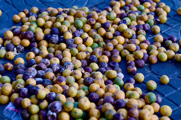 Closeup of A pile of lemons fresh and rotten on the roadside pavement at Thailand. Selective Focus.
