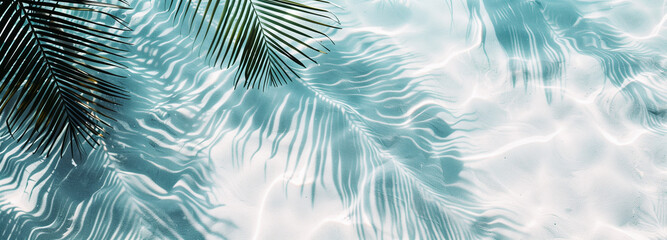 Abstract background with palm leaves shadow on water, white and blue color
