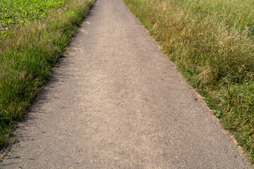 Footpath in the landscape in summer 
