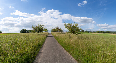 Footpath in the countryside in summer