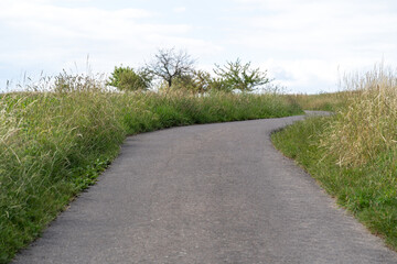 Footpath between grass and trees in the country