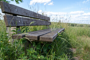 Fototapeta premium Wooden bench in the landscape