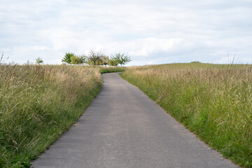 Footpath between grass in the landscape
